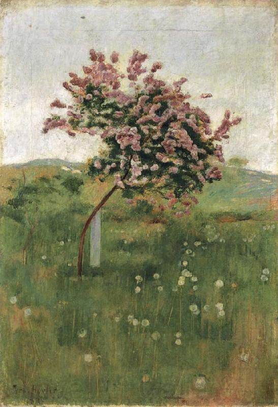 Ferdinand Hodler THe Lilac Norge oil painting art